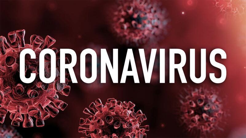 immunity to coronavirus